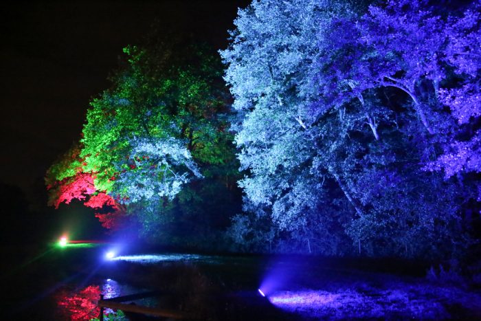 Professional wedding lighting hire, outside trees, bright colours